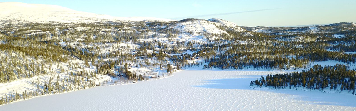 Utsikt fra en av tomtene