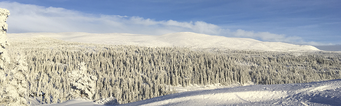 Utsikt fra en av tomtene
