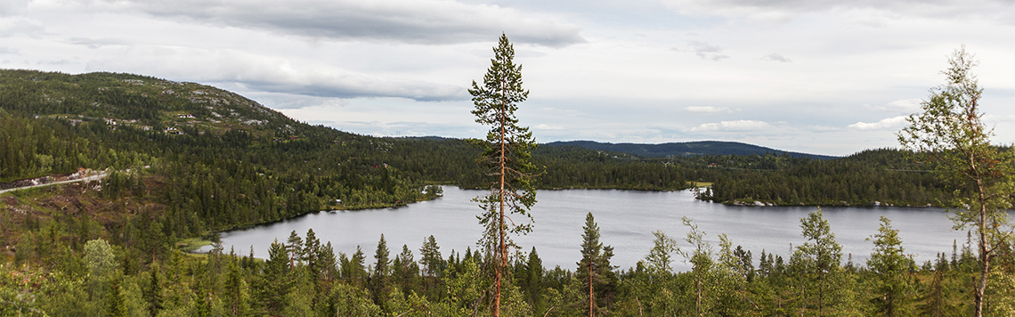 Utsikt fra en av tomtene