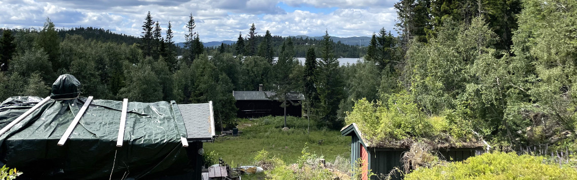 Utsikt fra tomten